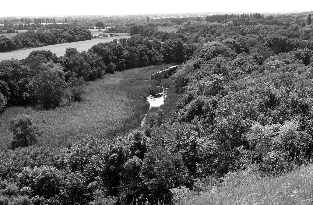 фото: Кільчень